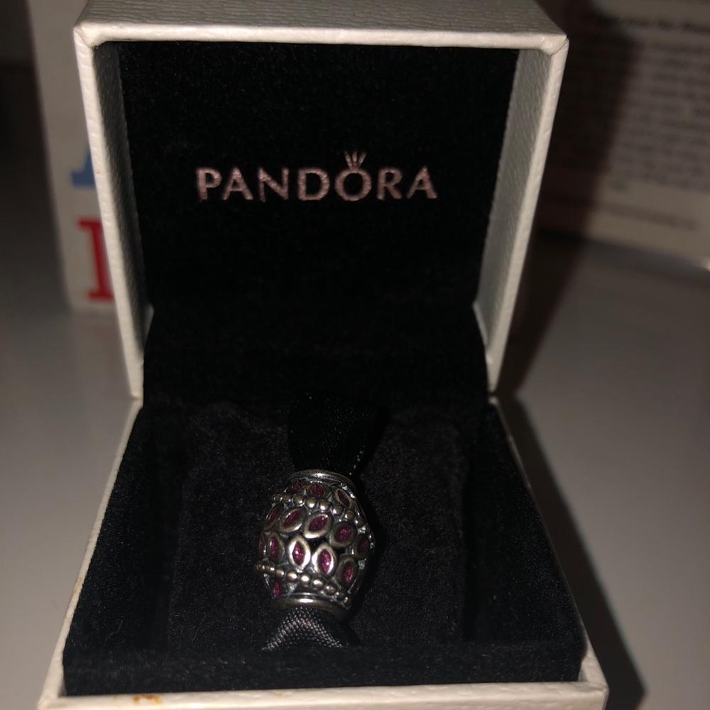 Purple and silver Pandora charm